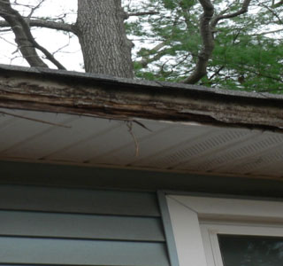 protect-fascia